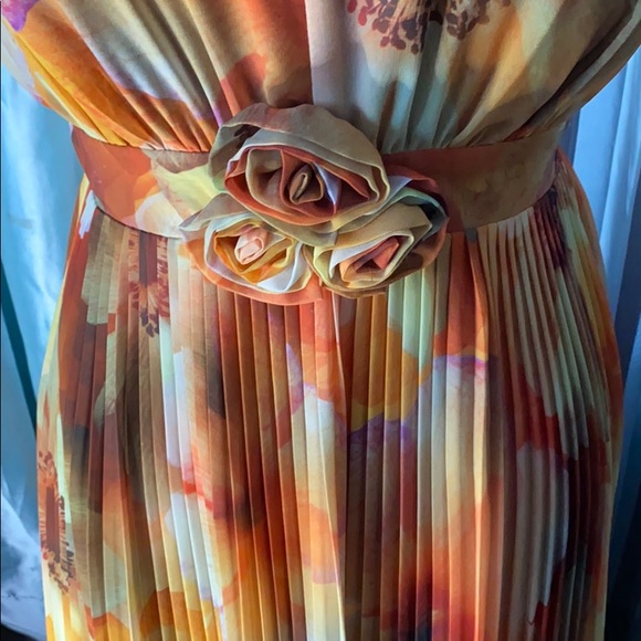 Floral Pleated Dress - Picture 2 of 5